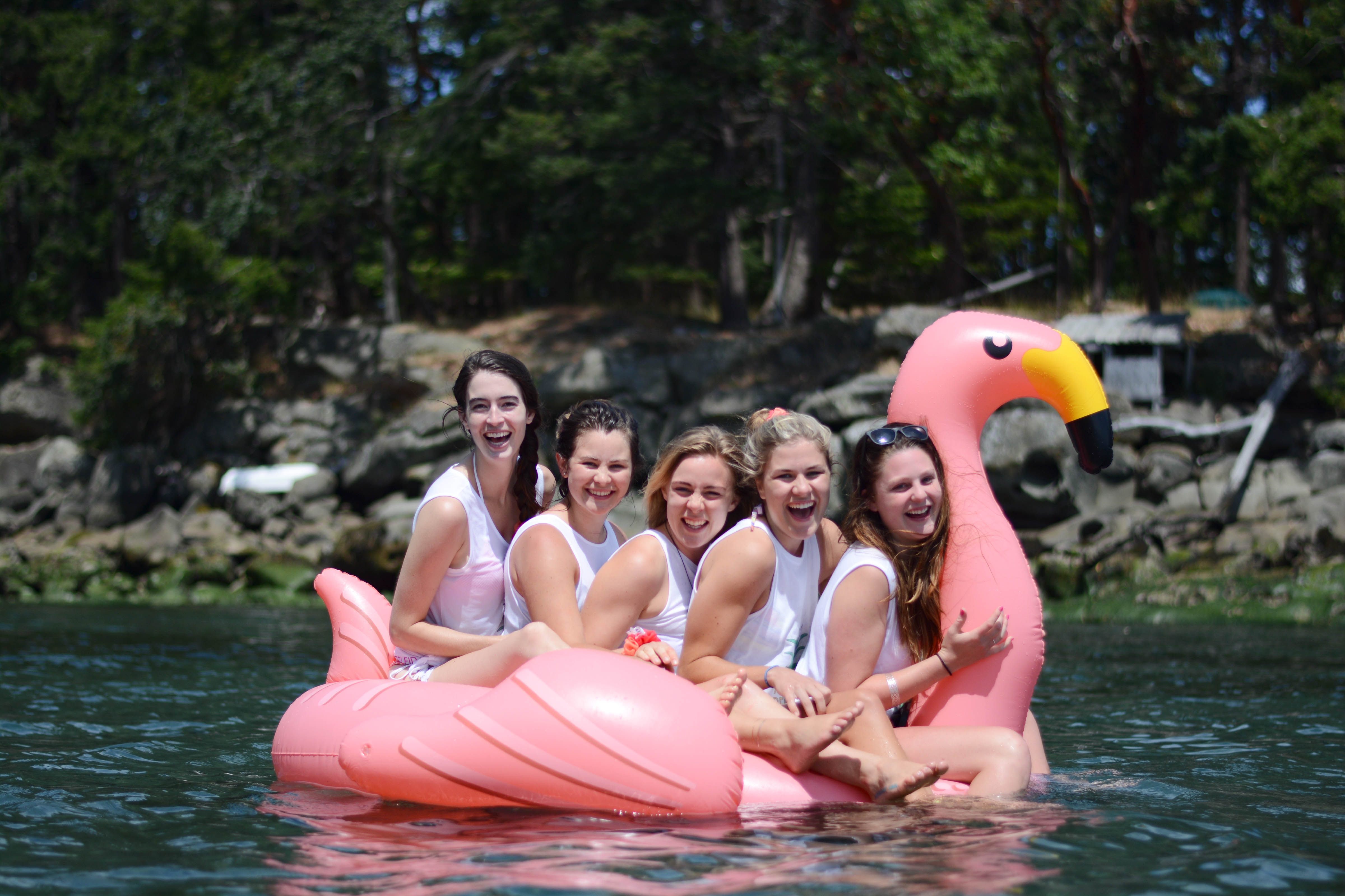 hanah's bachelorette
