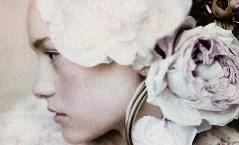 An Ode to Rose