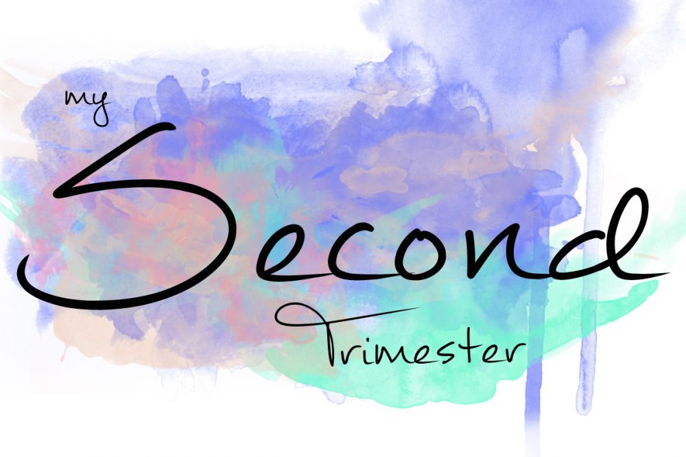 My Second Trimester Recap