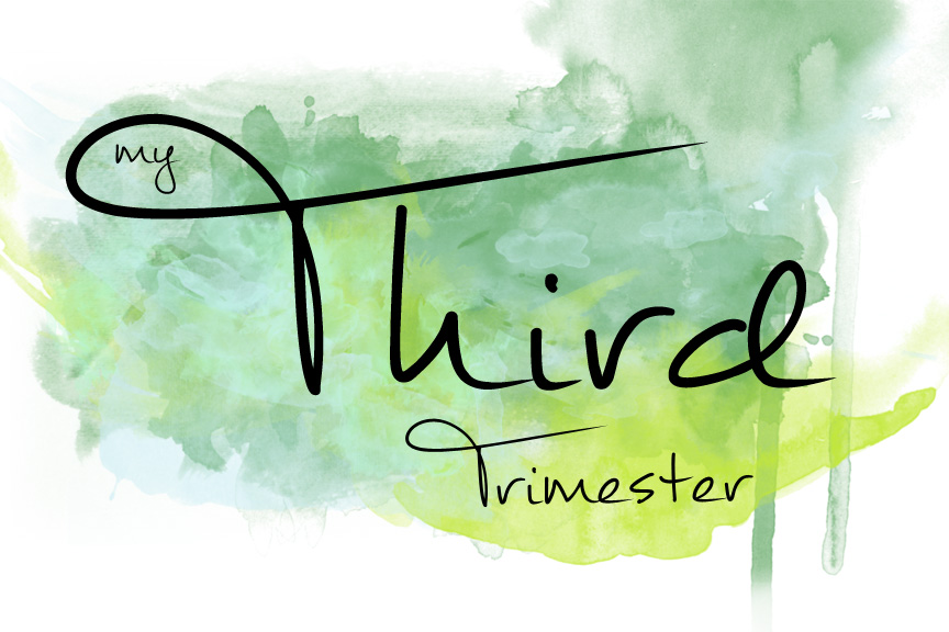 My Third Trimester Recap